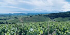 MDA - Agrandir l'image, fenêtre modale